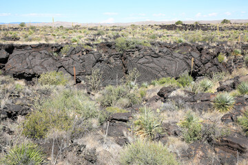 Volcanic landscape in Valley of Fires Recreation Area, New Mexico, USA