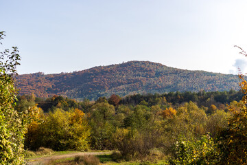 Autumn mountain landscape - yellowed and reddened autumn trees combined with green needles and blue skies. Colorful autumn landscape scene in the Ukrainian Carpathians.