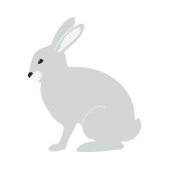 Fototapeta na wymiar Easter Rabbit Icon