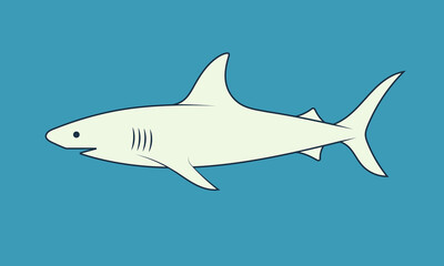 Shark for print design. Nature illustration. Animal background. Vector illustration design. Vector drawing. Nature art.
