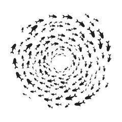 Naklejka na ściany i meble Silhouettes school of fish with marine life of various sizes swimming fish in the circle flat style design vector illustration. Colony of big and small sea animals.