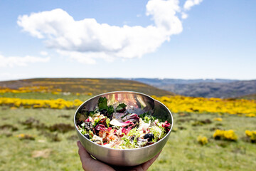 Picnic in the mountain with healthy food