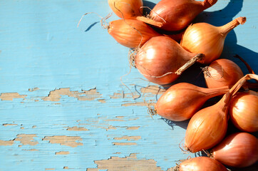 Onions on blue old wooden background with copy space. Concept spring planting of onions, sale at the market, fresh harvest of ripe onions.