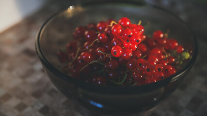 Cup with red currants illuminated by the rays of the sun