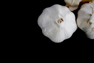 fresh white garlic on black background