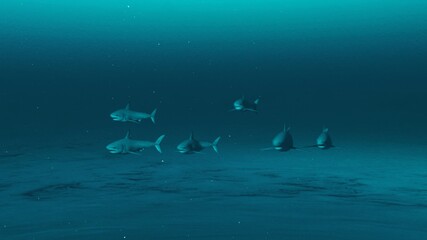 Group of Great white sharks swimming in the deep blue ocean water, underwater scene of white sharks, Beauty of sea life , 4K High Quality, 3D render.