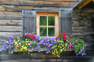 Fenster mit Blumen an einer Almhütte in Österreich