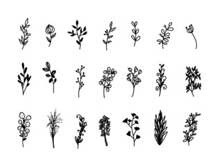 Set of silhouette flower elements