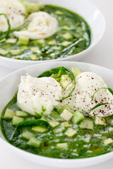 salad with green sauce and burrata cheese