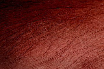 Blood Texture Background. Texture of  Concrete wall with bloody red stains.