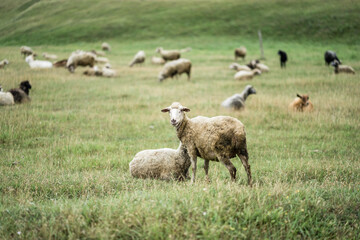 Obraz premium A ship on the ground