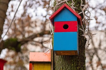 Bird house nest birdhouse hole. outdoor