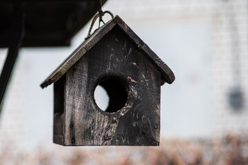 Bird house nest birdhouse hole. made