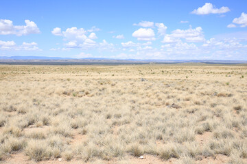 Desert in New Mexico, USA