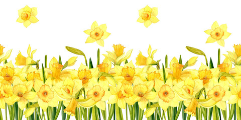 Seamless pattern. Yellow daffodils. Watercolor. For fabric or packaging paper. Home decor.