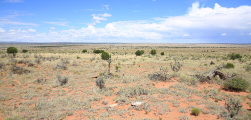 Desert in New Mexico, USA