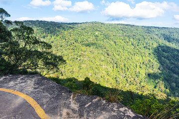 Beautiful scenery of tropical rainforest at Pha Diao Dai in Khao Yai National Park in Thailand, World Heritage Site, tall green trees in the mountains, blue sky and cumulus clouds.