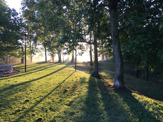 Two workers mowing the grass in the background of a young forest, during the sunset of a late summer day.