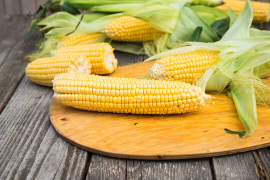 Fresh Corn on wooden table