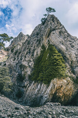 cloudy day in the mountains of the natural park of the ports, in tarragona (spain).