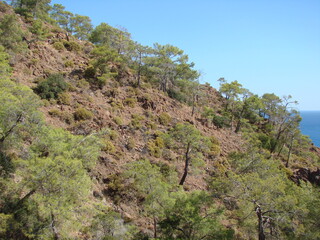 Landscape of a dangerous slope of a mountain range that descends rapidly to the blue coast.