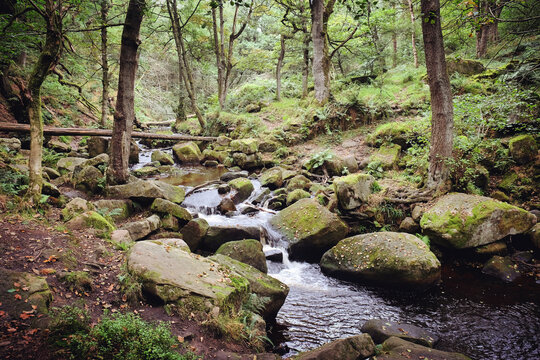 Waterfalls of Burbage Brook in Padley Gorge, High Peak, Derbyshire, UK