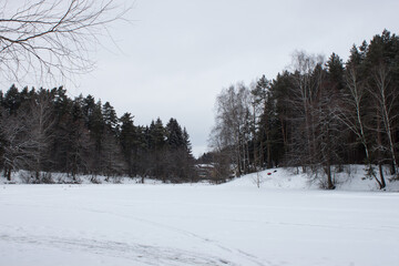 dirty old wooden table place of snow and trees of snow place