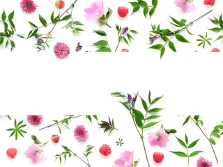 Frame from flowers and berries with place for text, top view. The concept of summer, spring, Mother's Day, March 8. 