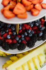 Sliced fruits close-up at a buffet table.