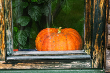 Halloween pumpkin through window. What to do with a pumpkin. Things to do with pumpkin.