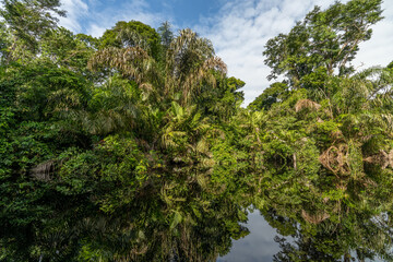 Canal in the national park of Tortuguero with its tropical rainforest along the Caribbean Coast of Costa Rica, Central America.