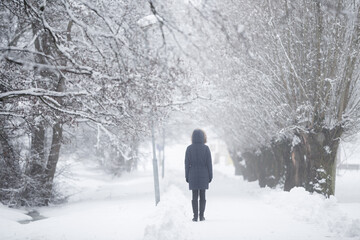 Young woman slowly walking on snow covered sidewalk through alley of trees in white snowy winter day at park after blizzard. Foggy air. Spending time alone in nature. Peaceful atmosphere. Back view.