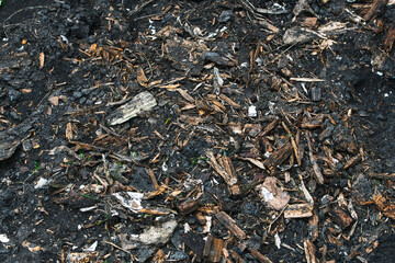 Wood chips in soil. How to build garden soil.