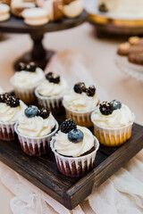 Festive blackberry and blueberry cupcakes. Copy space. Set of various delicious muffins on a tray.