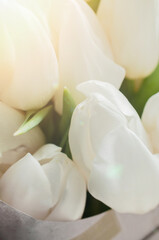 A bouquet of fresh white tulips buds. Macro shot.
