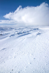 Snowdrifts 