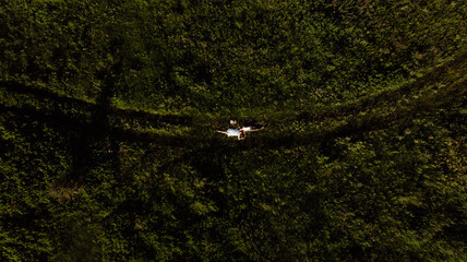 Young beautiful woman and man hugging while lying in the grass at sunset.
