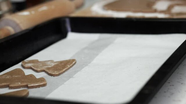 Caucasian woman placing tree shaped gingerbread cookies into a baking tray.