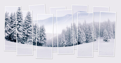 Fototapety na wymiar - Fototapeta24.pl