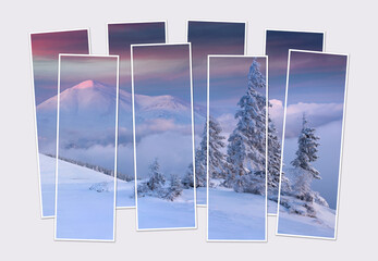 Fototapety na wymiar - Fototapeta24.pl
