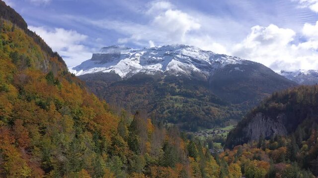 Mountain Covered In Autumnal Forest With Snow-capped Mountain In Background In Sixt-Fer-a-Cheval, France. - aerial pullback