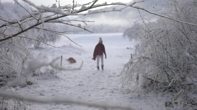 Lone Girl Walks With Her Dog On A Snowscape Forest Mountain Park Near Cascade du Rouget In France. - Rack Focus, Slow Motion