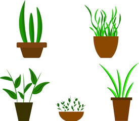 Various indoor flowers. A set of flowers. Spring time. Bloom. Happy easter. Background for the screen. Vector. Interior in the house.