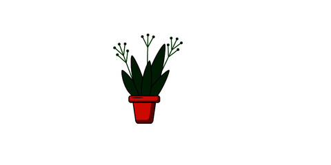 flower pot