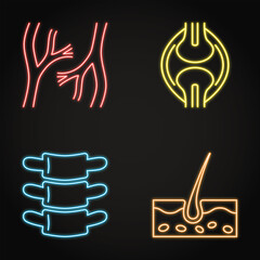 Human organs neon icon set in line style