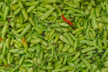 details of chilli pepper on the grocery 