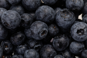 background with fresh blueberries in close up 