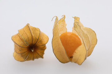dried and peeled  physalis fruit berry on white background 
