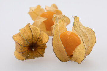 dried and peeled  physalis fruit berry on white background 