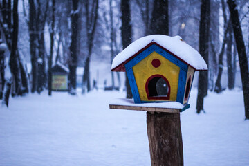 Snowy Vinnytsya`s park